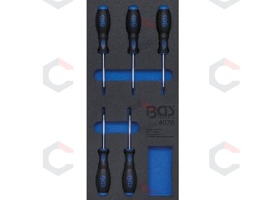 Įrankių dėklas 1/3: T-Star atsuktuvai (Torx) | 5 vnt. (4076) Įrankių dėklas 1/3: T-Star atsuktuvai (Torx) | 5 vnt. (4076)