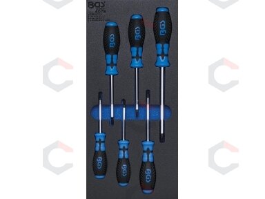 Įrankių dėklas 1/3: T-Star atsuktuvai (Torx) | 6 vnt. (4078) Įrankių dėklas 1/3: T-Star atsuktuvai (Torx) | 6 vnt. (4078)