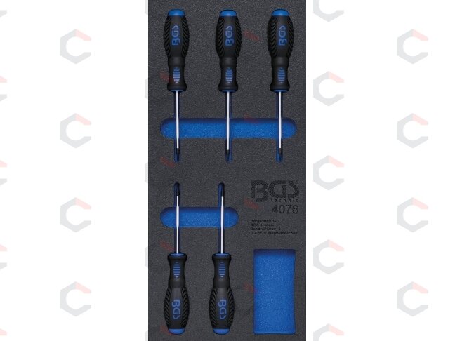 Įrankių dėklas 1/3: T-Star atsuktuvai (Torx) | 5 vnt. (4076) Įrankių dėklas 1/3: T-Star atsuktuvai (Torx) | 5 vnt. (4076)
