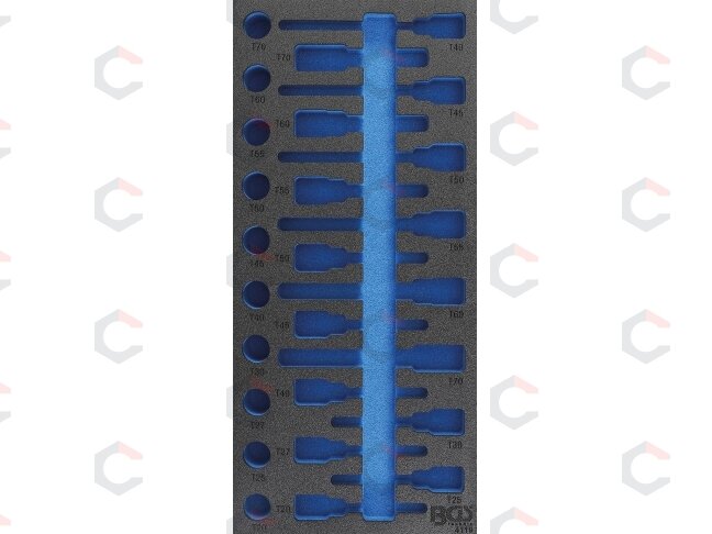 Įrankių vežimėlio įdėklas | 1/3 | BGS 4119 Torx rinkiniui | 408 × 189 × 32 mm | BGS (4119-1) Įrankių vežimėlio įdėklas | 1/3 | BGS 4119 Torx rinkiniui | 408 × 189 × 32 mm | BGS (4119-1)