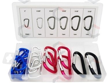 Karabinų spalvotų rinkinys D tipo 20 vnt. (SK82992) Karabinų spalvotų rinkinys D tipo 20 vnt. (SK82992)