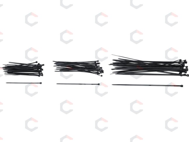 Kabelių jungčių / dirželių asortimentas | juodi | 100 x 200 mm | 75 vnt. (1789) 1