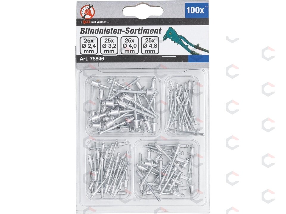 Kniedžių asortimentas | Ø 2.4 - 4.8 mm | 100 vnt. (75846) 1