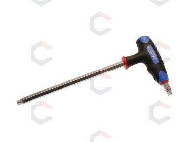 L tipo atsuktuvas su rankena | T-Star (Torx) T50 (4010-18)