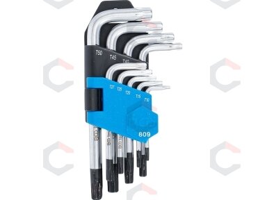 L tipo raktų rinkinys | trumpi | T-Star su skylutėm (Torx) T10 - T50 | 9 vnt. (809) L tipo raktų rinkinys | trumpi | T-Star su skylutėm (Torx) T10 - T50 | 9 vnt. (809)