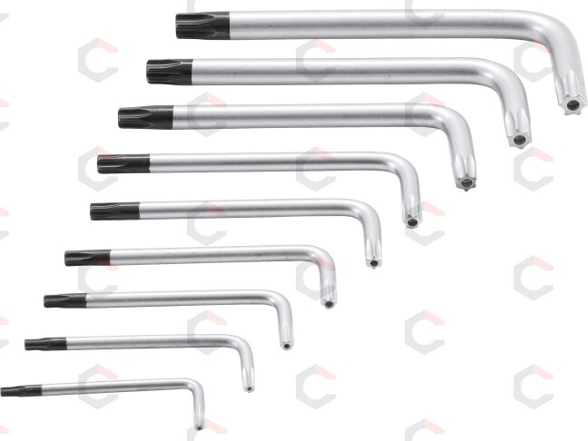L tipo raktų rinkinys | trumpi | T-Star su skylutėm (Torx) T10 - T50 | 9 vnt. (809) 5 L tipo raktų rinkinys | trumpi | T-Star su skylutėm (Torx) T10 - T50 | 9 vnt. (809) 5