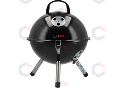 Lauko kepsninė / grilis su dangčiu | 32 cm (99922)