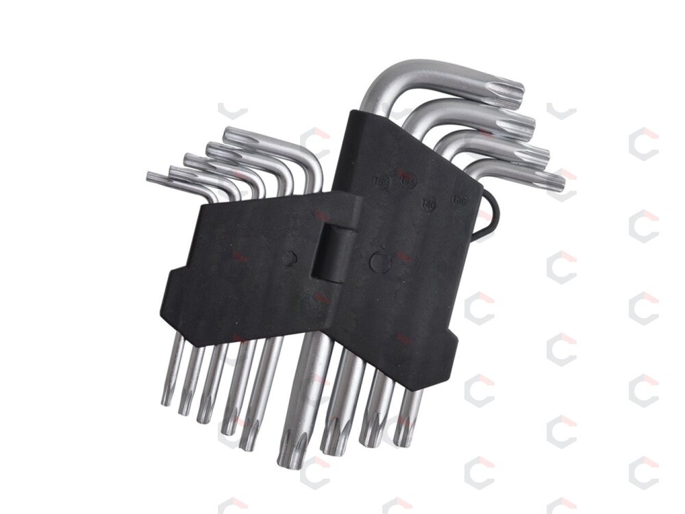 Lenktų raktų rinkinys | T-star (Torx) T10 - T50 | 9 vnt (ES10698) Lenktų raktų rinkinys | T-star (Torx) T10 - T50 | 9 vnt (ES10698)