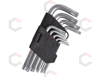Lenktų raktų rinkinys | T-star (Torx) T10 - T50 | 9 vnt (ES10698) 2 Lenktų raktų rinkinys | T-star (Torx) T10 - T50 | 9 vnt (ES10698) 2