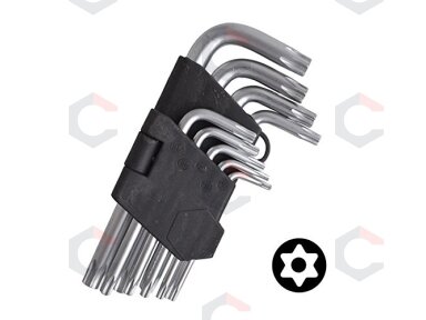 Lenktų raktų rinkinys | T-star (Torx) T10 - T50 | 9 vnt (ES10698) Lenktų raktų rinkinys | T-star (Torx) T10 - T50 | 9 vnt (ES10698)