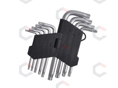 Lenktų raktų rinkinys | T-star (Torx) T10 - T50 | 9 vnt (ES10698) Lenktų raktų rinkinys | T-star (Torx) T10 - T50 | 9 vnt (ES10698)
