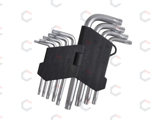 Lenktų raktų rinkinys | T-star (Torx) T10 - T50 | 9 vnt (ES10698) Lenktų raktų rinkinys | T-star (Torx) T10 - T50 | 9 vnt (ES10698)