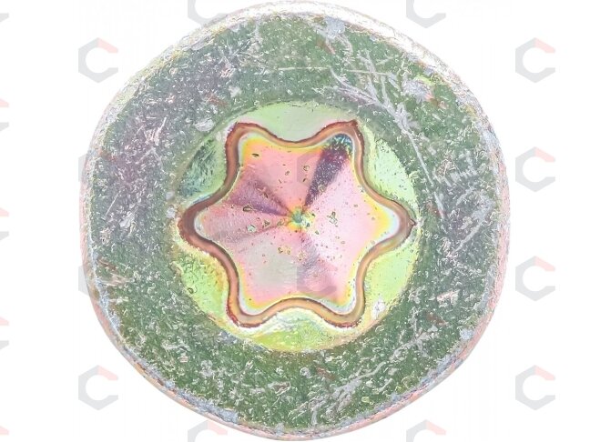 Medienos ir plastiko varžtai galvanizuoti | T-Star T20 | 4.0 x 60 mm | 110 vnt. (88007) 2 Medienos ir plastiko varžtai galvanizuoti | T-Star T20 | 4.0 x 60 mm | 110 vnt. (88007) 2