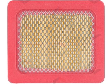 Oro filtras benzininėms vejapjovėms | tipas: T320 (YT-855491)