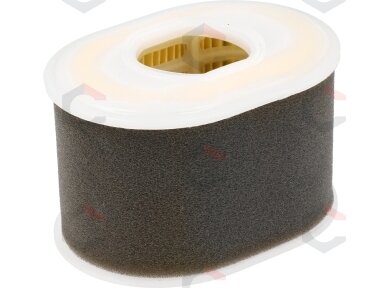 Oro filtras G200F varikliams | YT-86115, YT-86155 (YT-861933) Oro filtras G200F varikliams | YT-86115, YT-86155 (YT-861933)