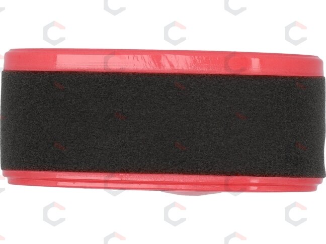 Oro filtras benzininėms vejapjovėms | tipas: T450 (YT-855493) 1