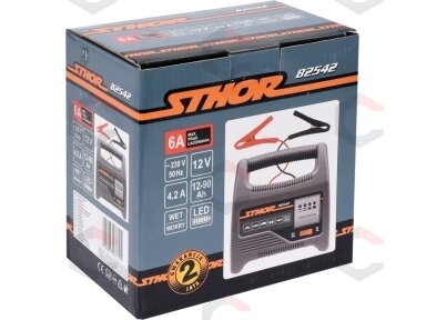 Pakrovėjas akumuliatoriams | 6A / 12V / 90 Ah | LED (82542)