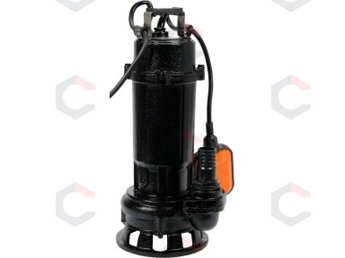 Panardinamas siurblys | su plūde ir malimo sistema | 450W (79881)