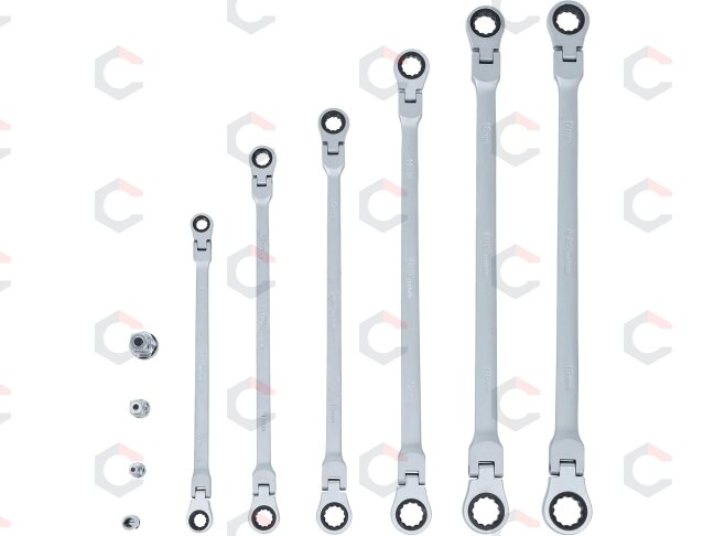 Pailgintų terkšlinių vartomų dvipusių raktų rinkinys | su adapteriais galvutėms | 8 - 19 mm | 10 vnt. (1541) 5 Pailgintų terkšlinių vartomų dvipusių raktų rinkinys | su adapteriais galvutėms | 8 - 19 mm | 10 vnt. (1541) 5