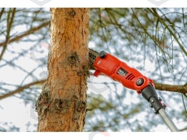 Pjūklas šakoms | teleskopinis | 710W 25 cm (YT-84800)