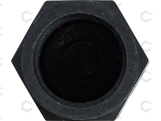 Purkštukų išėmimo adapteris iš BGS 7771 | M20 x M20 x 49 mm (7771-3) 1 Purkštukų išėmimo adapteris iš BGS 7771 | M20 x M20 x 49 mm (7771-3) 1