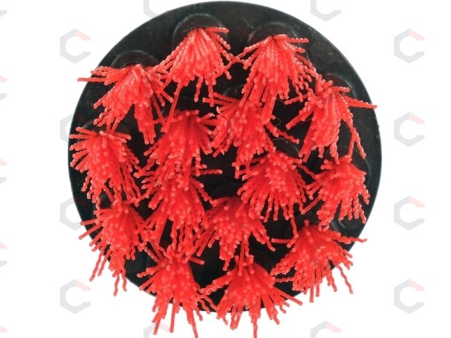 Šepečių rinkinys su Hex 6.3 mm (1/4") galu | Nailonas | 5 vnt. (YT-47777) 12