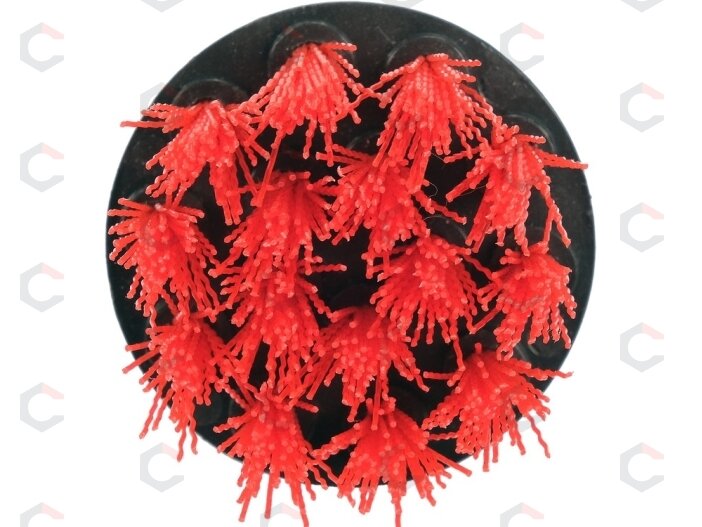 Šepečių rinkinys su Hex 6.3 mm (1/4") galu | Nailonas | 5 vnt. (YT-47777) 12