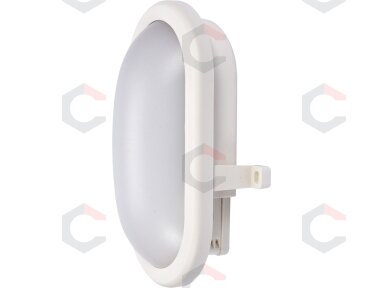 Sieninis, lubinis žibintas ovalo formos 12W LED (YT-81835) Sieninis, lubinis žibintas ovalo formos 12W LED (YT-81835)