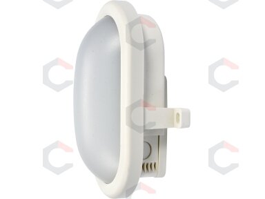 Sieninis, lubinis žibintas ovalo formos 8W LED (YT-81834) Sieninis, lubinis žibintas ovalo formos 8W LED (YT-81834)