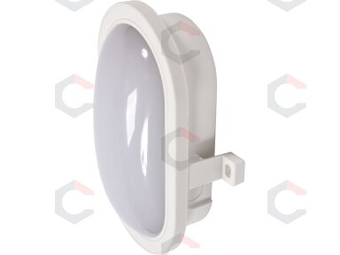 Sieninis žibintas ovalo formos 5,5W LED (YT-81833)