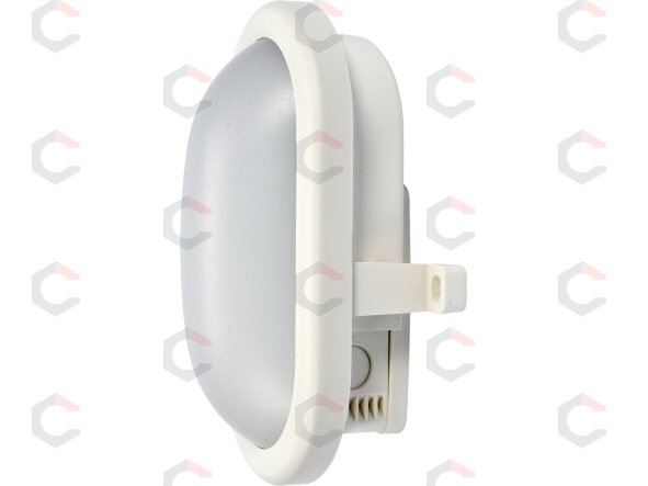 Sieninis, lubinis žibintas ovalo formos 8W LED (YT-81834) Sieninis, lubinis žibintas ovalo formos 8W LED (YT-81834)