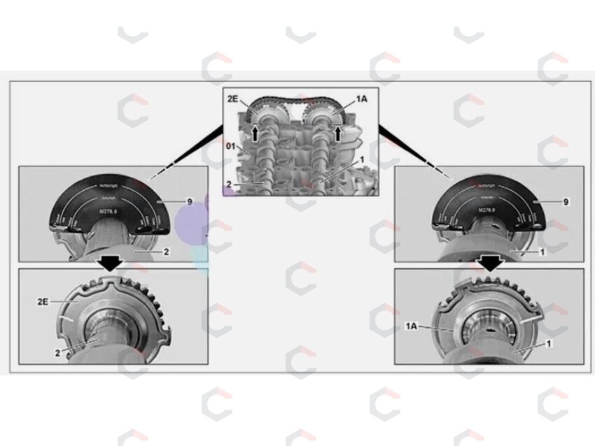 Skirstomojo veleno reguliatorius | Mercedes-Benz (SK7847) 6