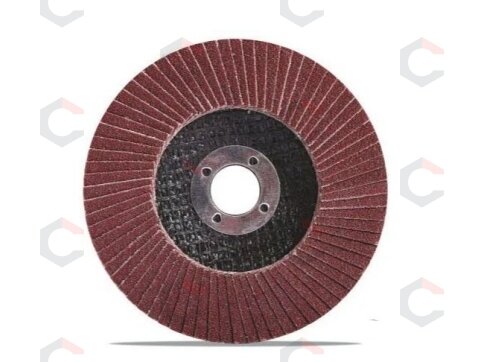 Šlifavimo diskas lapelinis | plokščios formos | P100 | 125X22,2 mm (ES813100) Šlifavimo diskas lapelinis | plokščios formos | P100 | 125X22,2 mm (ES813100)