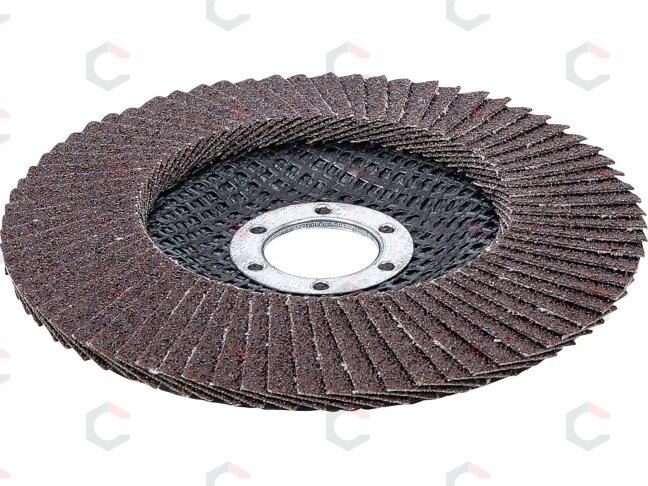 Šlifavimo diskas lapelinis | Ø 125 mm | K 80 (3976) Šlifavimo diskas lapelinis | Ø 125 mm | K 80 (3976)
