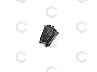 Smeigtukai / ankeriai sodo kraštams ir medžiagoms tvirtinti | 250 mm 20 vnt. (88718) Smeigtukai / ankeriai sodo kraštams ir medžiagoms tvirtinti | 250 mm 20 vnt. (88718)
