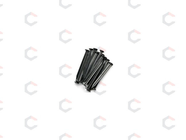 Smeigtukai / ankeriai sodo kraštams ir medžiagoms tvirtinti | 250 mm 20 vnt. (88718) Smeigtukai / ankeriai sodo kraštams ir medžiagoms tvirtinti | 250 mm 20 vnt. (88718)