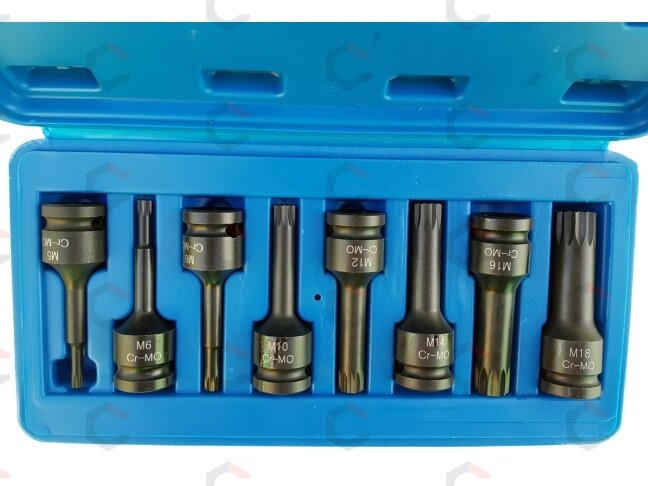 Smūginių antgalių rinkinys – Spline (XZN) profesionalus CR-MO – 1/2" | M5–M18 | 9 vnt. (S1102) Smūginių antgalių rinkinys – Spline (XZN) profesionalus CR-MO – 1/2" | M5–M18 | 9 vnt. (S1102)