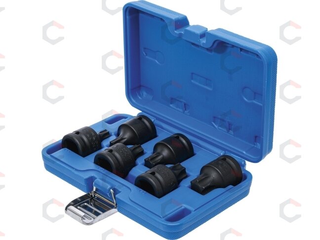 Smūginių antgalių rinkinys | 20 mm (3/4") | T-Star (Torx) T55 - T100 (5055) 2