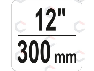 Spaustuvas su varžtu "C" tipo 12", 300 mm (YT-64258) Spaustuvas su varžtu "C" tipo 12", 300 mm (YT-64258)