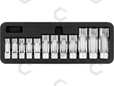 Specialių išpjautų galvučių rinkinys | 3/8" | 8–19 mm | 12 vnt. (YT-17505) Specialių išpjautų galvučių rinkinys | 3/8" | 8–19 mm | 12 vnt. (YT-17505)