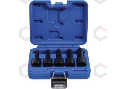 Specialus antgalių rinkinys / sraigtiniai ištraukikliai | 12,5 mm (1/2") | 8 - 16 mm | 5 vnt. (5261)