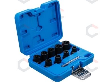 Specialus galvučių rinkinys / sraigtiniai ištraukikliai | 10 mm (3/8") | 10 - 19 mm | 10 vnt. (5265)
