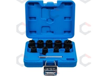 Specialus galvučių rinkinys / sraigtiniai ištraukikliai | 10 mm (3/8") | 10 - 19 mm | 10 vnt. (5265)