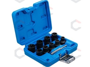 Specialus galvučių rinkinys / sraigtiniai ištraukikliai | 12,5 mm (1/2") | 10 - 19 mm | 10 vnt. (5266)