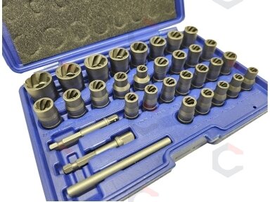 Specialus galvučių rinkinys / sraigtiniai ištraukikliai | 6.3 mm (1/4") / 10 mm (3/8") | 32 vnt. (SK201619) Specialus galvučių rinkinys / sraigtiniai ištraukikliai | 6.3 mm (1/4") / 10 mm (3/8") | 32 vnt. (SK201619)