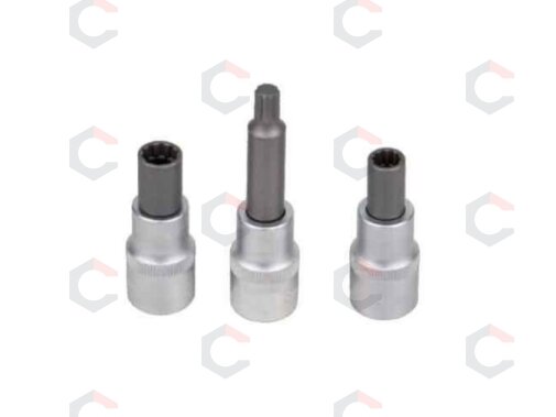 Specialūs antgaliai | OZ aliuminiams ratlankiams | 12,5 mm (1/2") | 3 vnt. (SK2016030) 1 Specialūs antgaliai | OZ aliuminiams ratlankiams | 12,5 mm (1/2") | 3 vnt. (SK2016030) 1