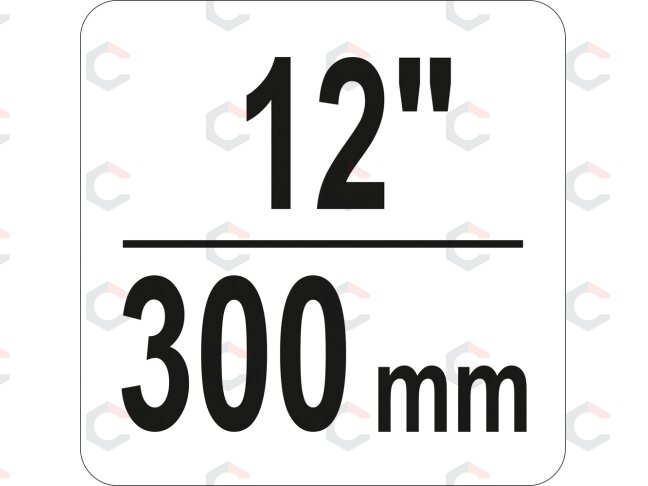 Spaustuvas su varžtu "C" tipo 12", 300 mm (YT-64258) 1