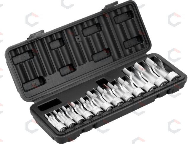 Specialių išpjautų galvučių rinkinys | 3/8" | 8–19 mm | 12 vnt. (YT-17505) Specialių išpjautų galvučių rinkinys | 3/8" | 8–19 mm | 12 vnt. (YT-17505)