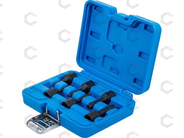 Specialus antgalių rinkinys / sraigtiniai ištraukikliai | 10 mm (3/8") | 2 - 10 mm | 6 vnt. (5281) 3 Specialus antgalių rinkinys / sraigtiniai ištraukikliai | 10 mm (3/8") | 2 - 10 mm | 6 vnt. (5281) 3