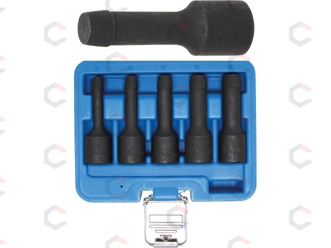 Specialus antgalių rinkinys / sraigtiniai ištraukikliai | 12,5 mm (1/2") | 8 - 16 mm | 5 vnt. (5261) 6 Specialus antgalių rinkinys / sraigtiniai ištraukikliai | 12,5 mm (1/2") | 8 - 16 mm | 5 vnt. (5261) 6
